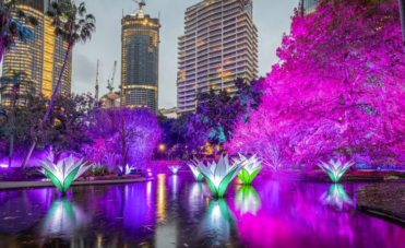 A light display in Roma Street Parklands, Brisbane