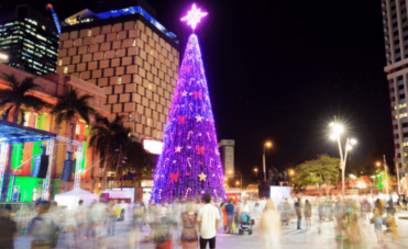 A large Christmas tree lit up in the Brisbane City.